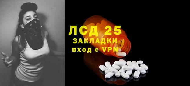 стафф Приозерск