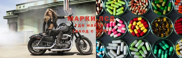 эйфоретик Ветлуга